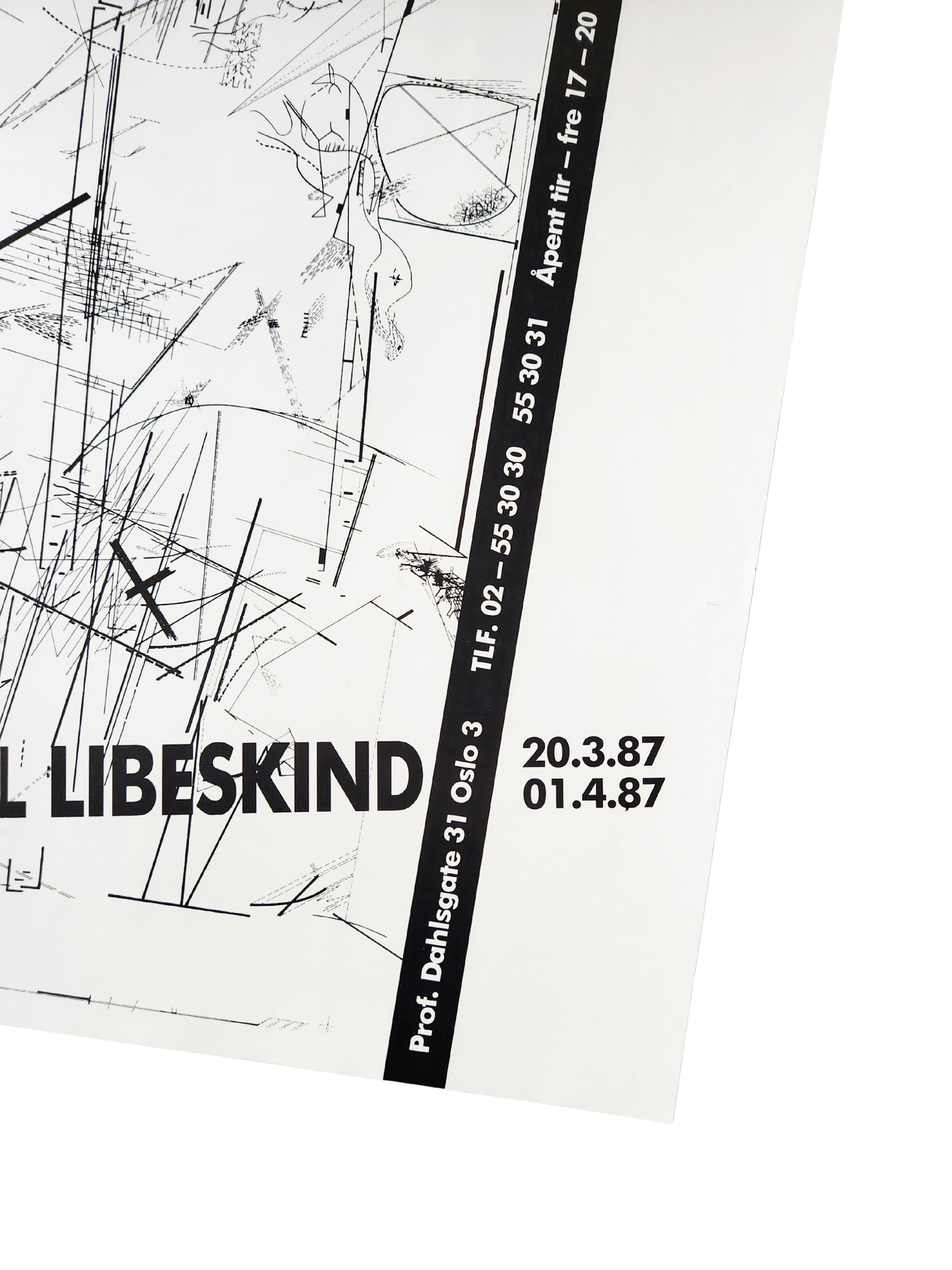 Daniel Libeskind: Galleri Rom for Arkitektur Poster